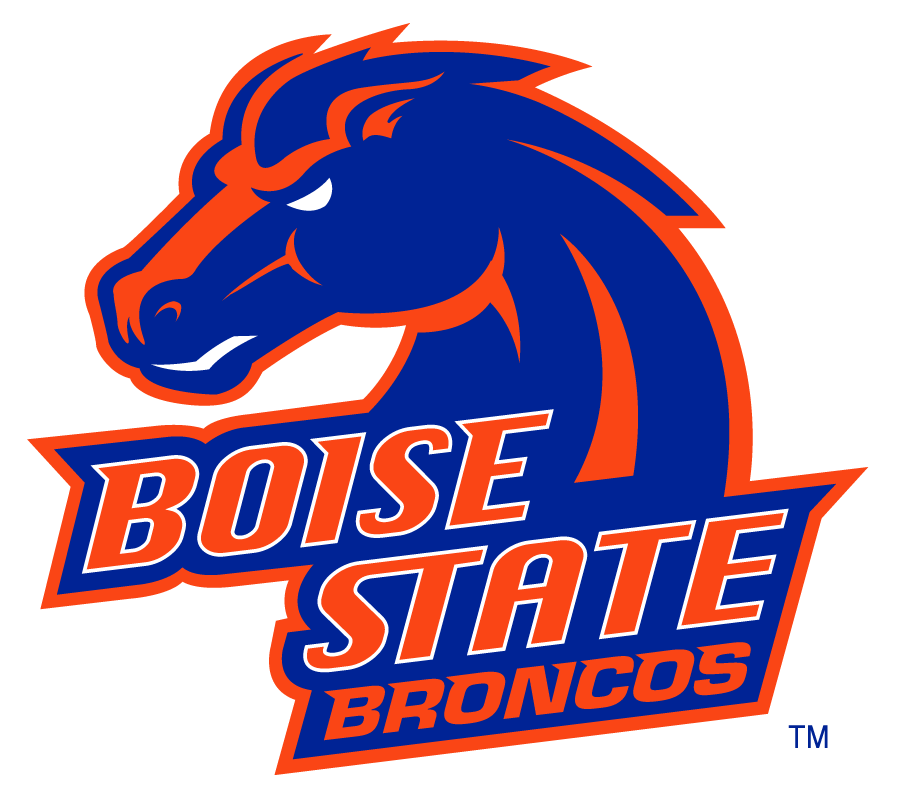 Boise State Broncos 2002-2012 Secondary Logo v24 iron on transfers for T-shirts